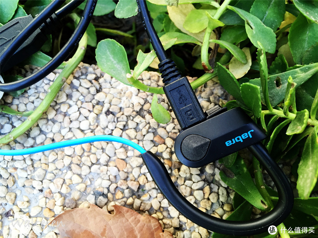 Jabra Sport Pace Wireless，入门级智能运动耳机？真不像…