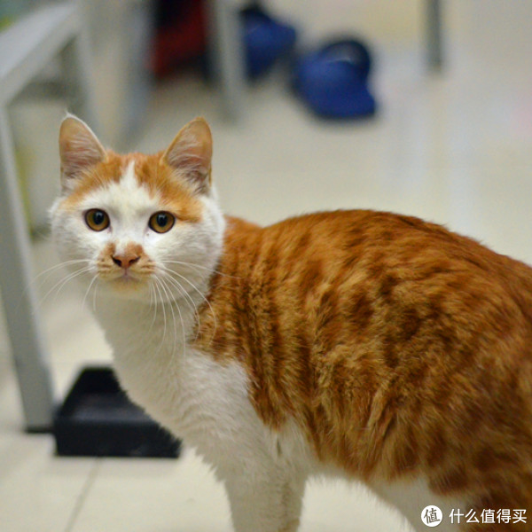 Nikon 尼康 AF 50mm\/1.8D 开箱与我的尼康注