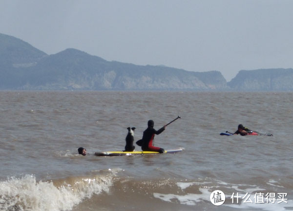 冲浪板的基本知识与选购