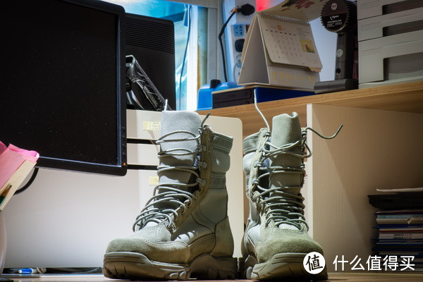 Danner 丹纳 USAF RIVOT TFX  SAGE GREEN GTX 51536 沙漠靴