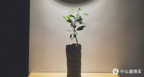 新家装修MUJI风:晒那些值得自己动手制作的摆设