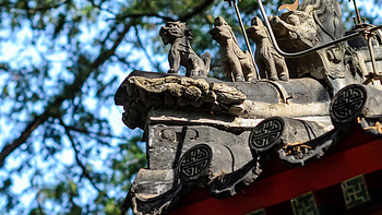 京西古刹——大觉寺