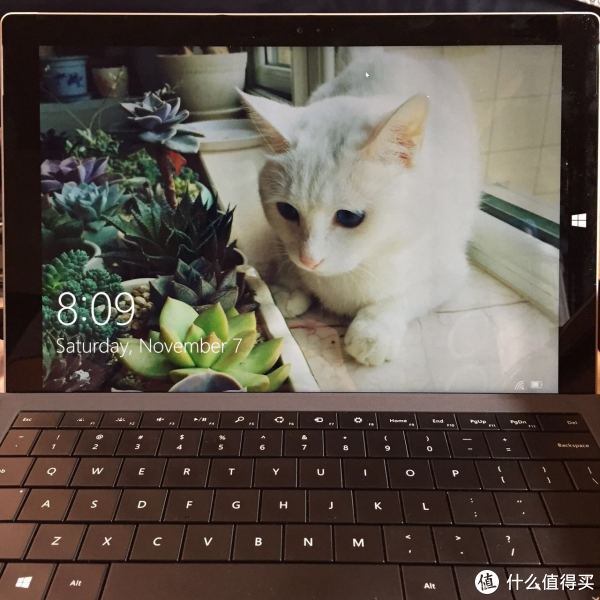 海外建筑狗的EDC (多物多图高能预警!!!)