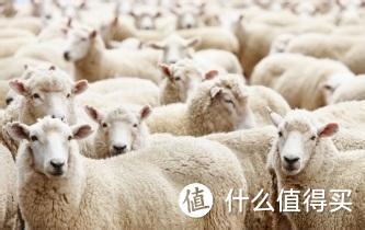 撸运营商的羊毛，如何选择你的 iPhone 6S 合约计划