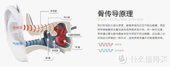 【戴着骨传导，放心向前跑】——AfterShokz韶音 Bluez 2S 骨传导运动耳机评测