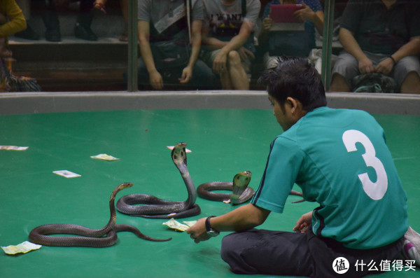 泰国旅游游记 | 泰国跟团游行程_曼谷旅游攻略