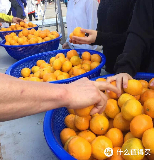 济州柑橘马拉松参赛