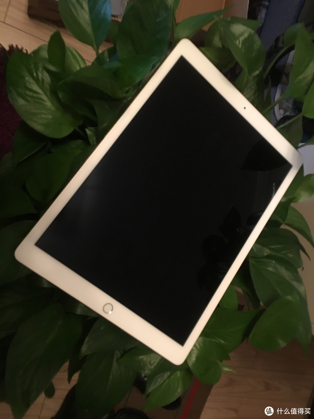 将bigger进行到底：iPad Pro 128G 土豪金 开箱