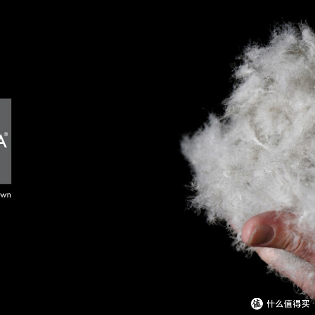 双11剁手节败家篇之---DUVETICA 王菲同品牌鹅绒羽绒服