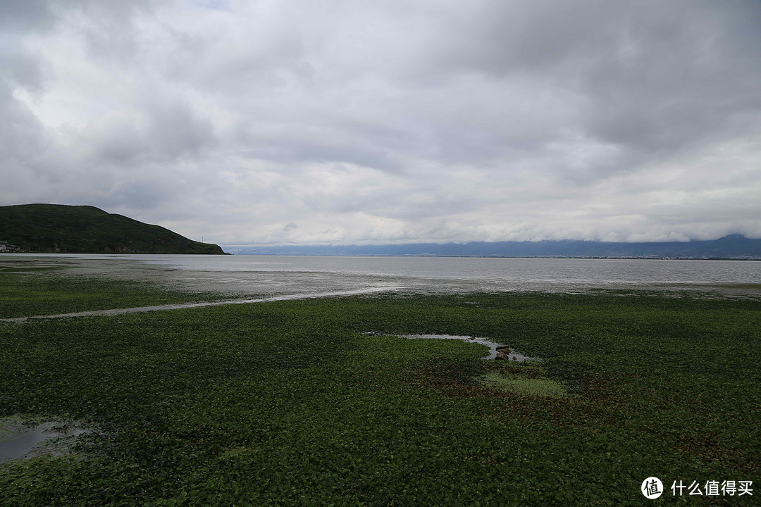 圆梦学生时代未完成的旅程の彩云之南