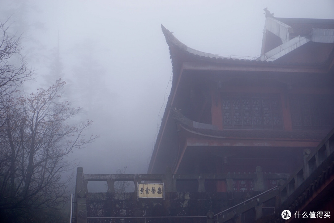 云上云下别样天:峨眉山行记