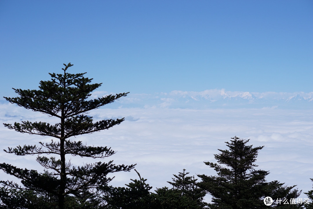 云上云下别样天：峨眉山行记