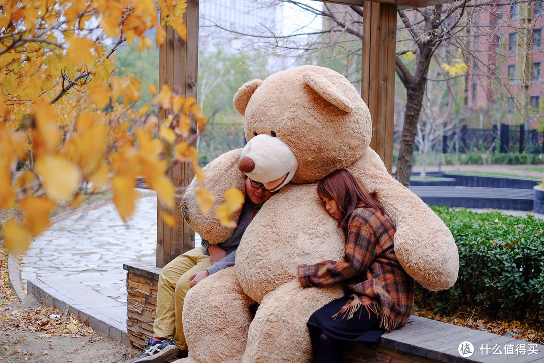 《到站秀》第22弹​“剧场版”：2米3“巨熊”Costco Bear的郊游计划 