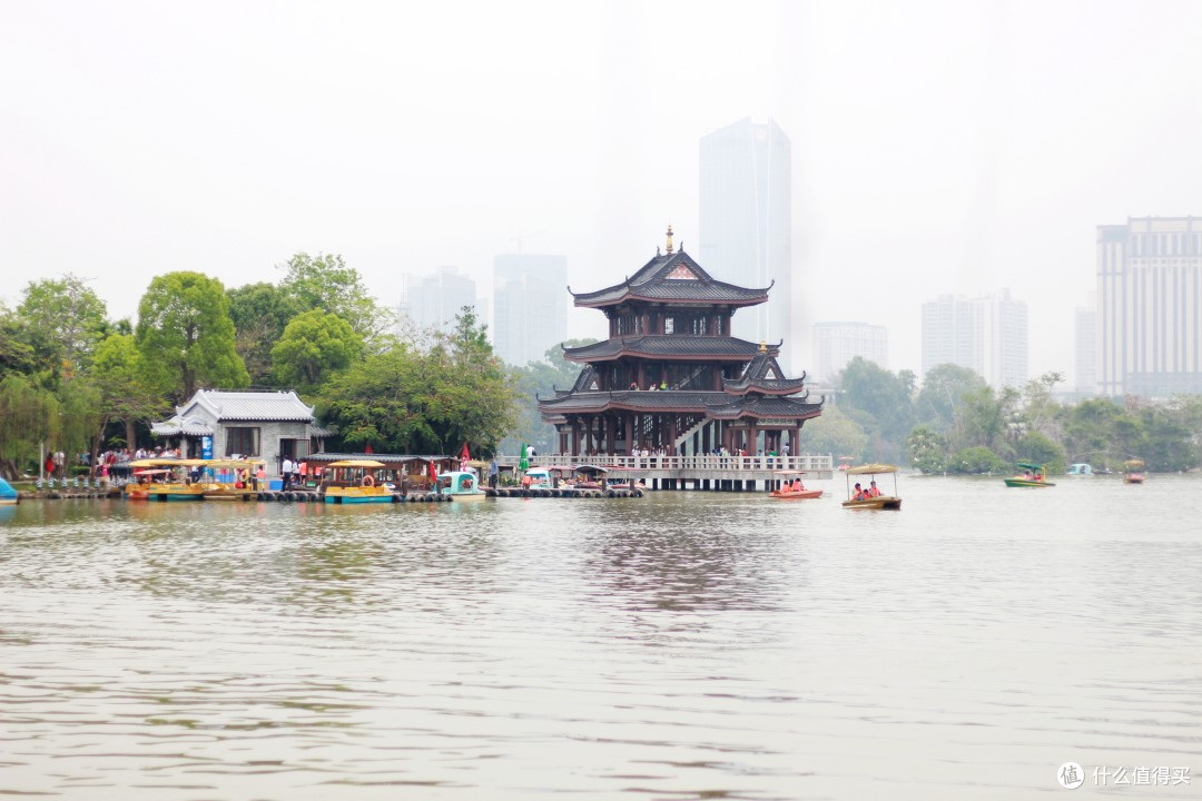 深圳南京碎碎念，拍拍拍