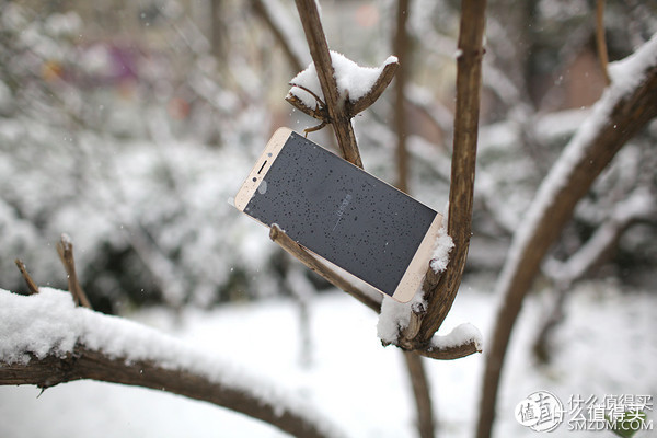 迟来的简单开箱:LeTV 乐视 乐1s 智能手机
