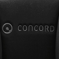 Concord协和2015款XT PRO，孩子车内的头等舱安全座椅