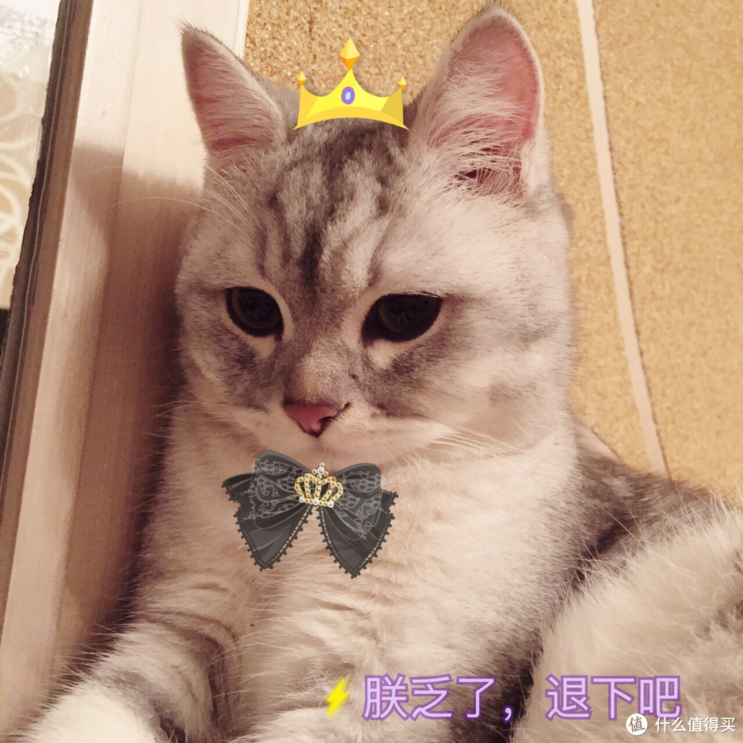 秋末,stay with me——记录下一个美妆控和文艺女青年的五天四夜的东京行(226图)
