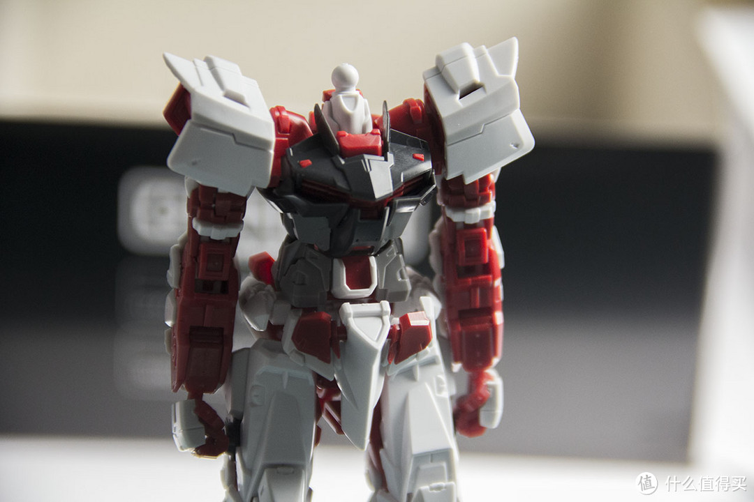 终于把剁手节入的完成了 — [素组]万代 RG Astray Red Frame，