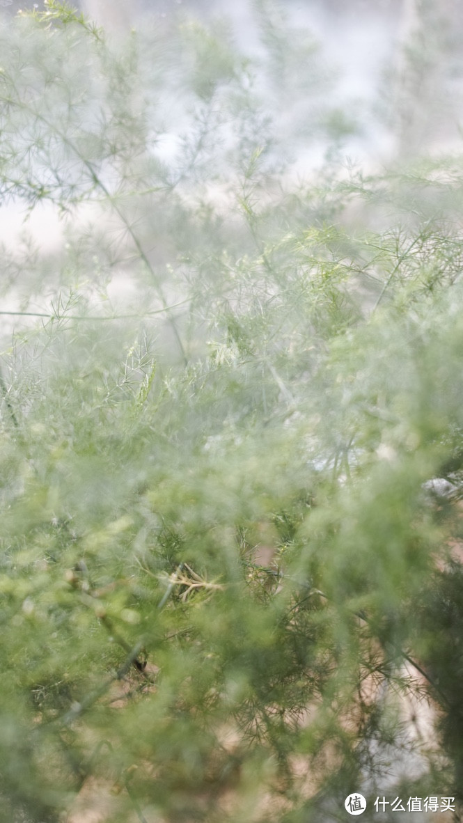 生活在全世界雾霾最严重城市的上班族的大包