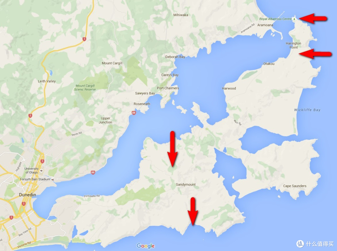 狂奔在中土世界:绝美新西兰南岛半月自驾体会 篇三:但尼丁,奥塔哥半岛