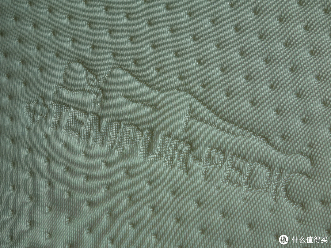 TEMPUR 泰普尔 护颈枕 开箱 The NeckPillow by Tempur-Pedic