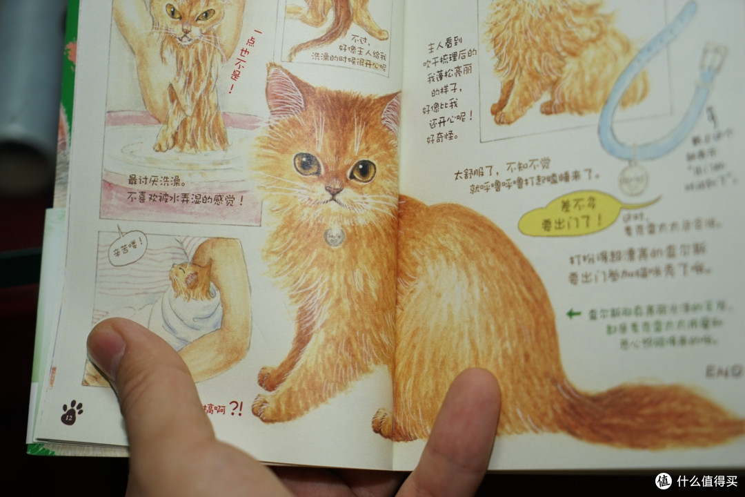 最近买的六本书,以及关于亚马逊的一些小小不愉快
