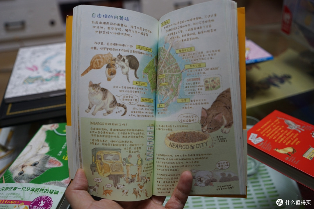 最近买的六本书,以及关于亚马逊的一些小小不愉快