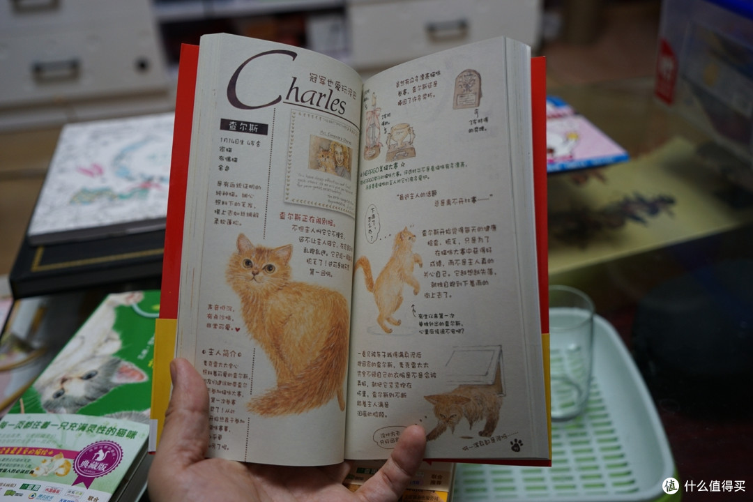最近买的六本书,以及关于亚马逊的一些小小不愉快
