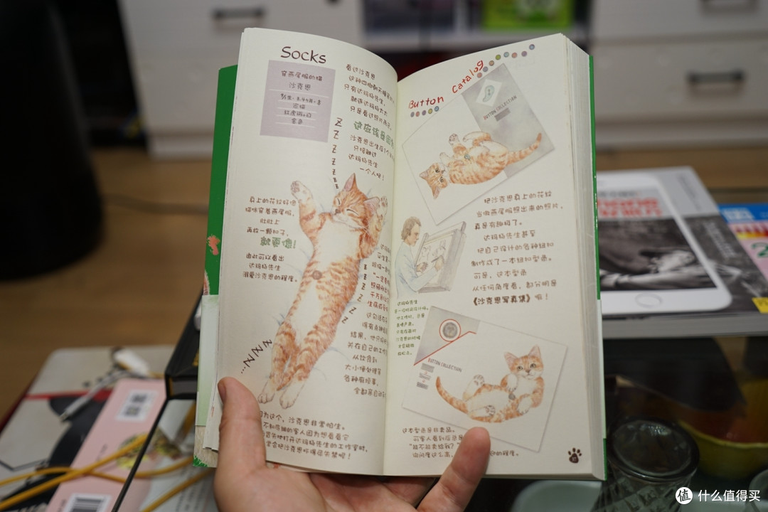 最近买的六本书,以及关于亚马逊的一些小小不愉快