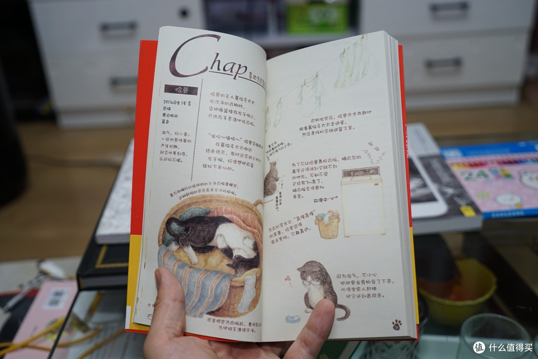 最近买的六本书,以及关于亚马逊的一些小小不愉快