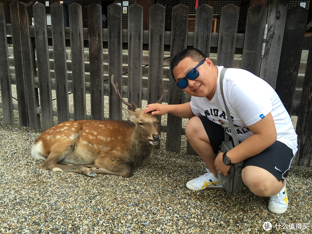 蜜月日本走起之行前和大阪