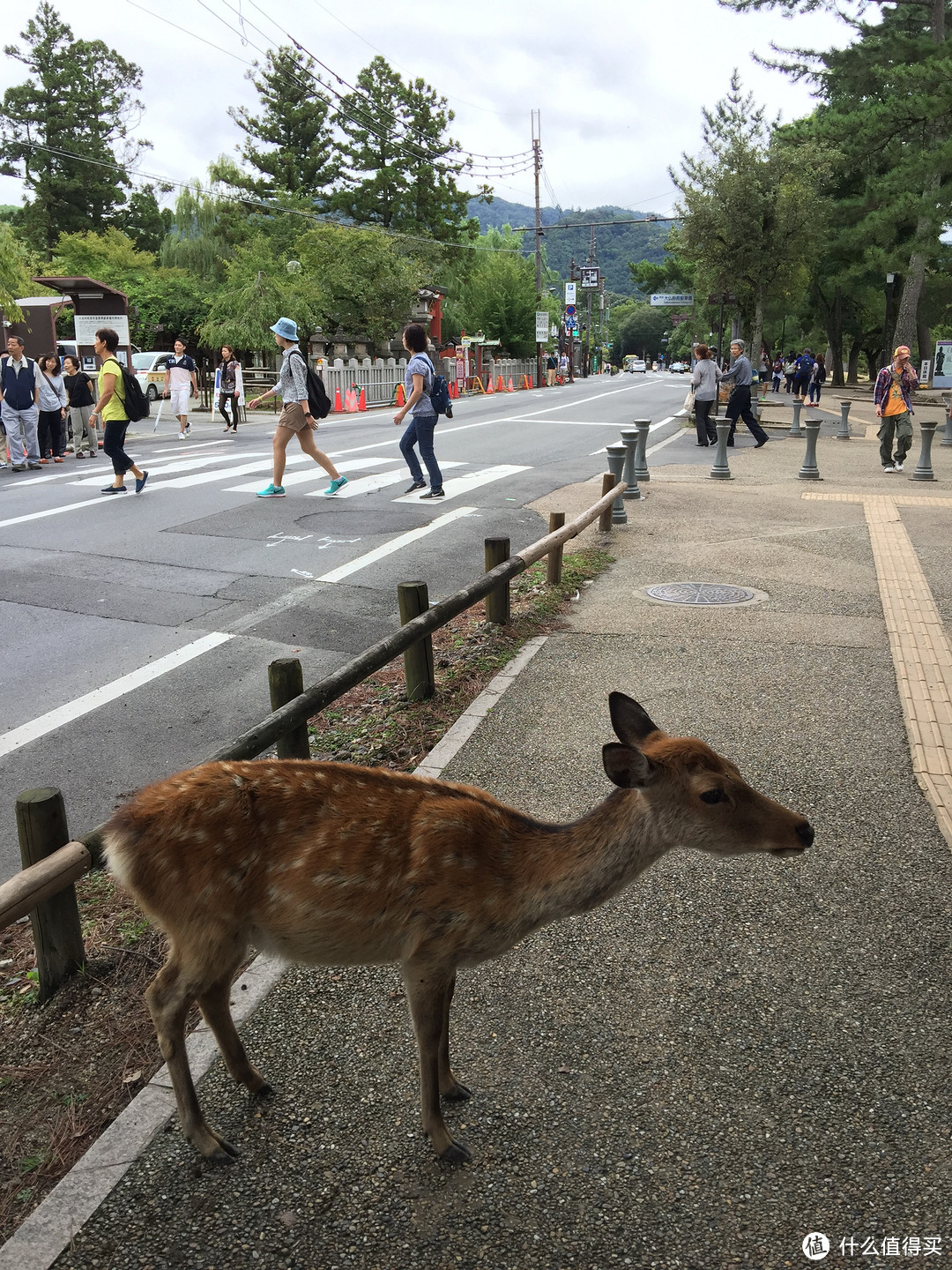 蜜月日本走起之行前和大阪