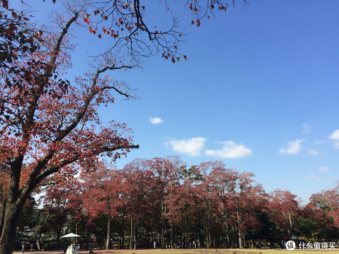 到了日本最喜欢的就是它的蓝天白云（真的让人看着舒服）