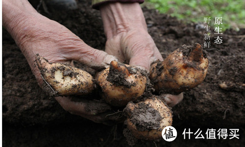 双12征集盘点：值友推荐这些颜值高、有个性、口碑佳的特色淘宝店铺