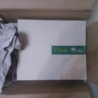 Clarks Rampart Up GTX 男靴试穿体验(尺码|鞋尖)