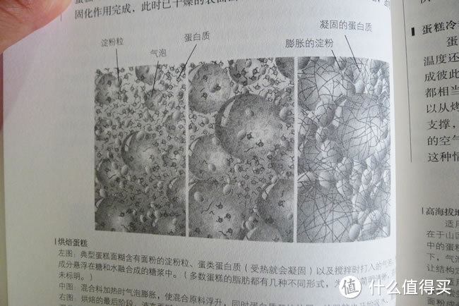 如何在烘焙坑中优雅地前行：我的烘焙书单