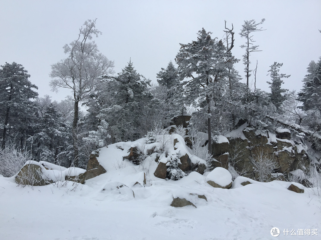 这才是我的第一次：FISCHER 费舍尔 RC4 滑雪板（附真人兽）