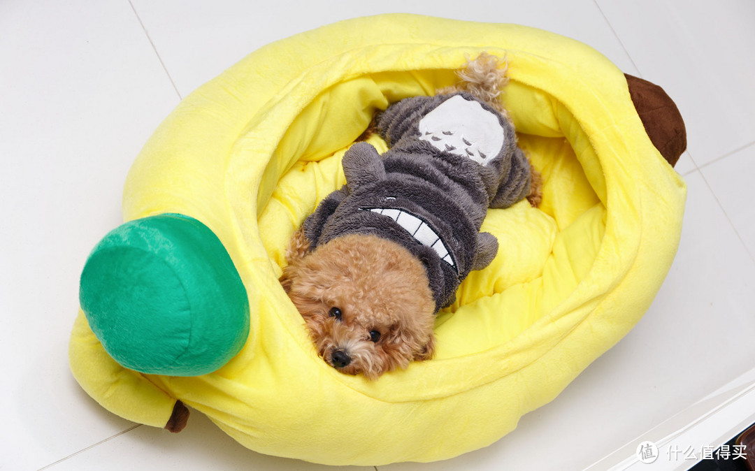 晒两样不相关的防寒装备：Lativ 诚衣 轻型羽绒茄克 & 宠物香蕉窝