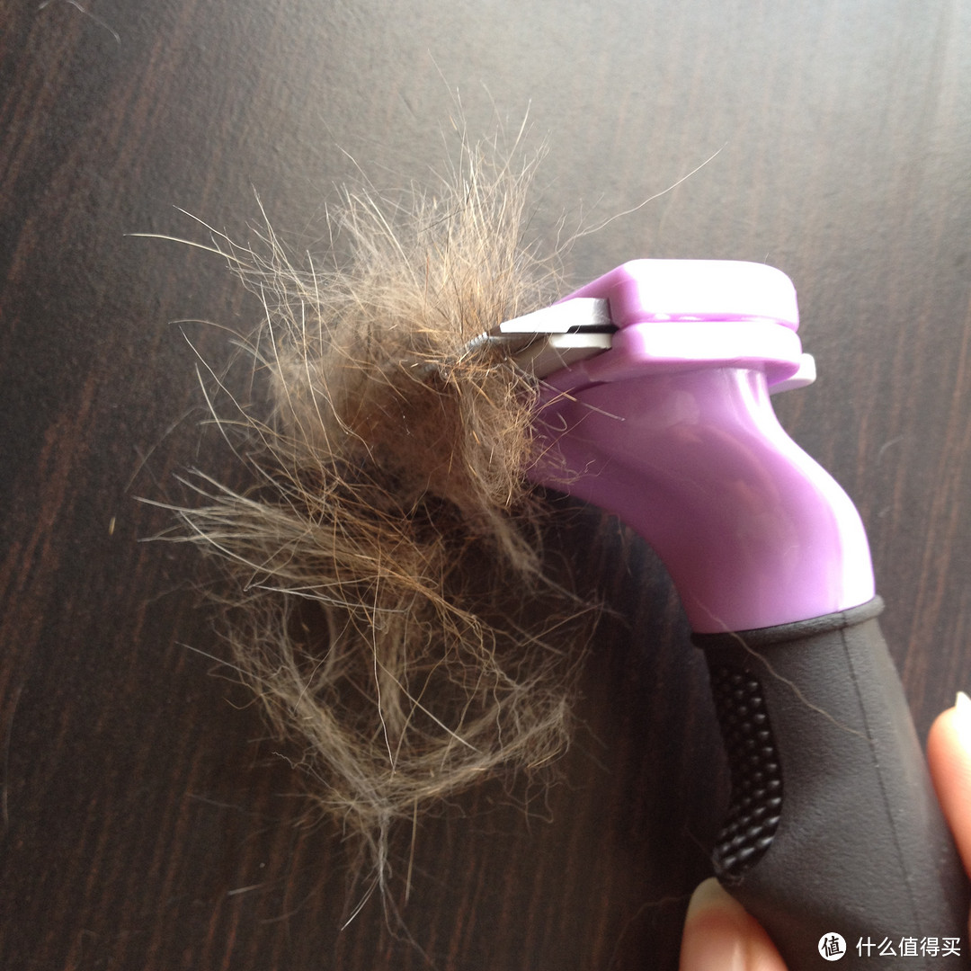 #有货自远方来# 为主子梳毛：FURminator deShedding 宠物去毛梳