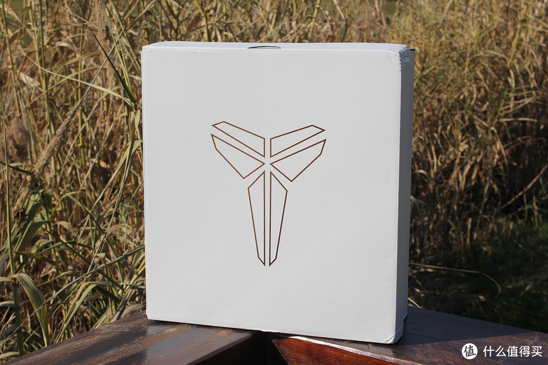 只为吾爱的科比,如同这冬日的暖阳!KOBE X ELITE