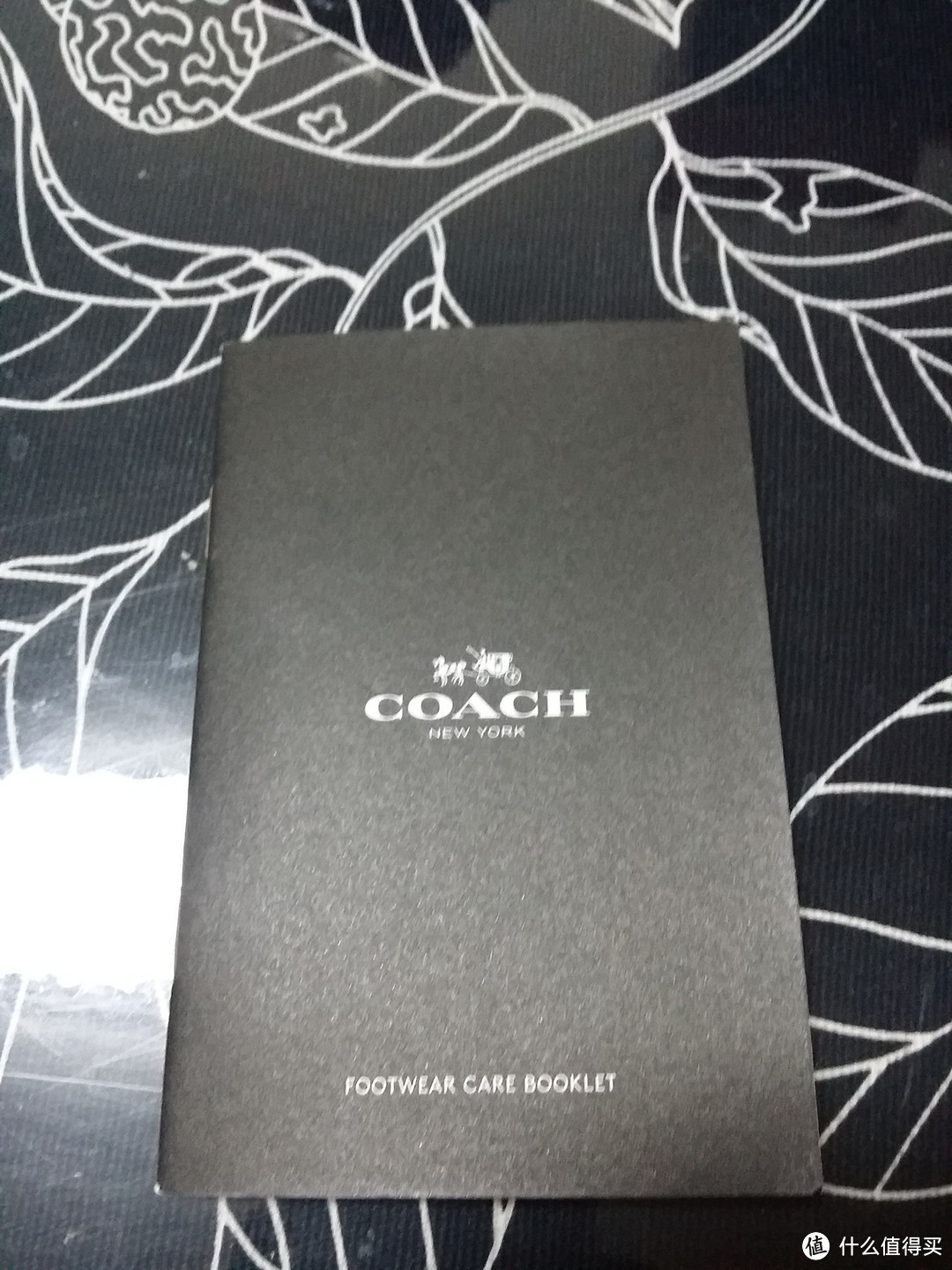 女王大人的新COACH RAY