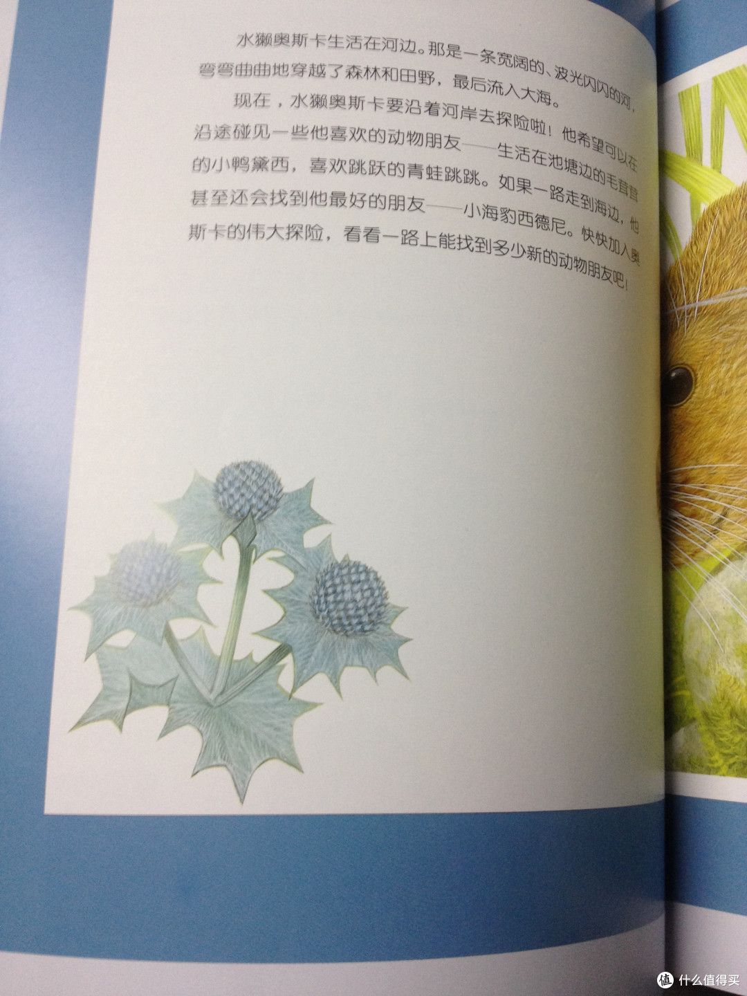 给孩子要选最好的 — 两套“地理”类贴纸书的比较