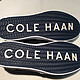 拖延症患者之两双COLE HAAN 可汗 休闲男鞋