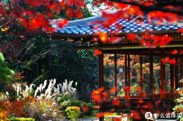 日本关西旅游攻略 | 关西交通攻略_关西购物攻略