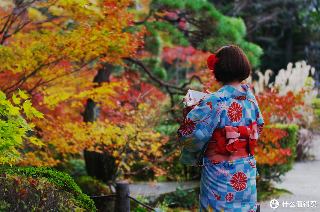 巴赫尔红叶季逛关西：日本关西交通购物住宿攻略（干货经验&美景美食）