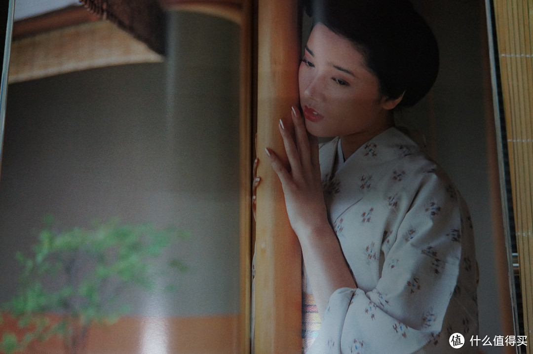 怪蜀黍的晒单一：日本中古美女写真集Collection