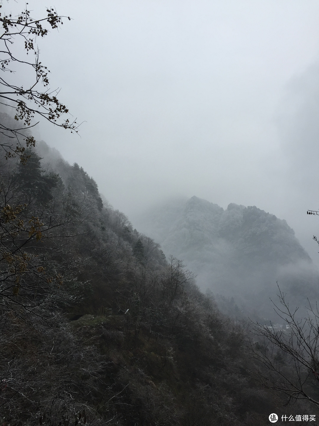 天涯思君不可忘，武当山顶松柏长