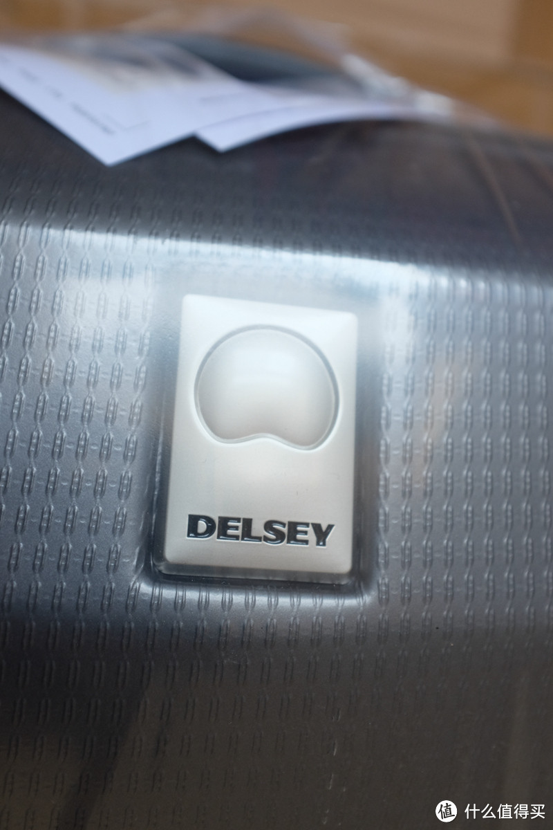 双十二90多元入手：DELSEY 法国大使 20寸 超轻万向轮拉杆箱