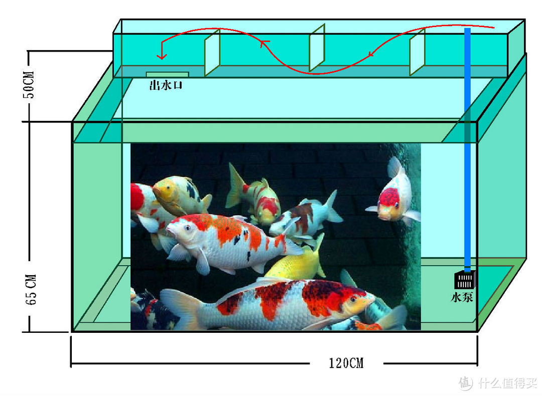 养金鱼的设备，方法的选择