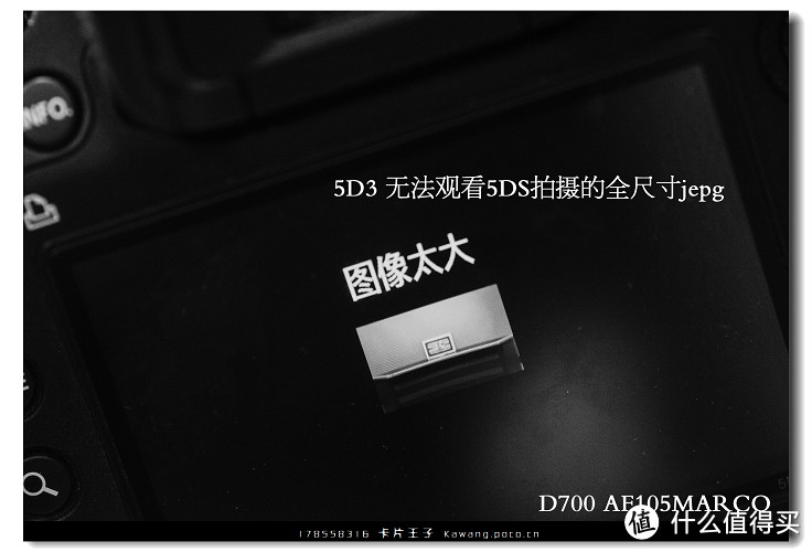 相机乱斗 — 佳能5DS 像素对比意义  横纵向测评